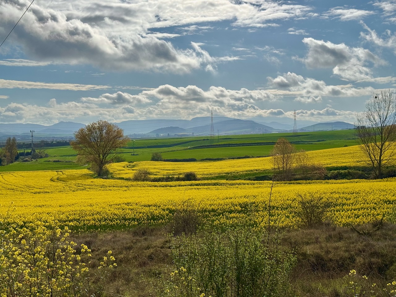 Lekcije s Camina – tišina u kojoj sam pronašao sebe